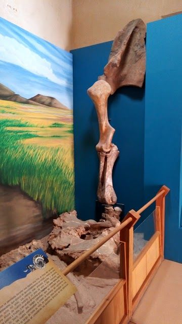 Museo Histórico Regional de Ensenada